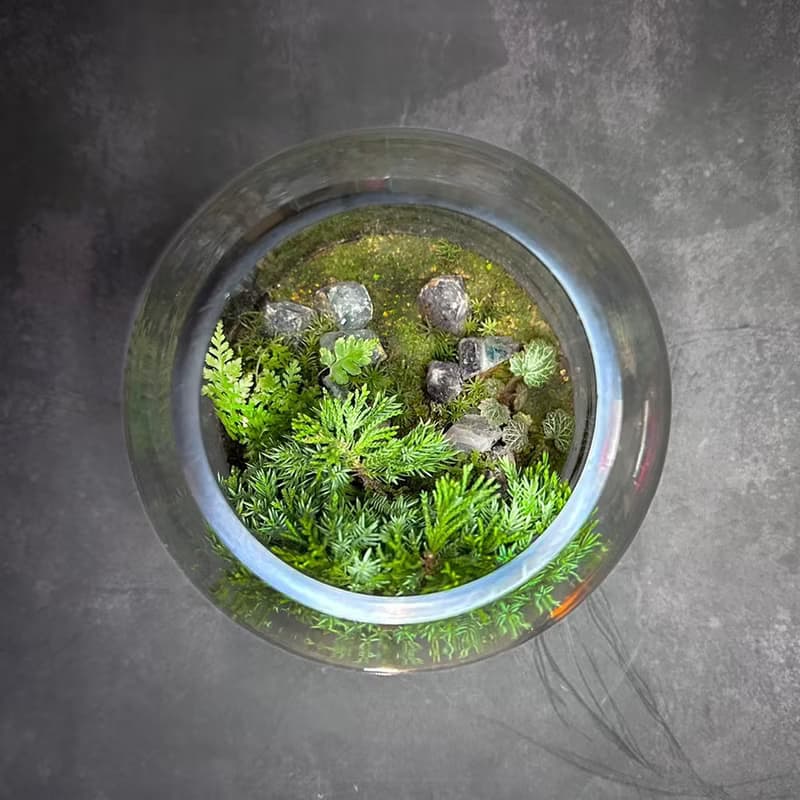 礦石風水生態缸 - 彩墨山水 / 彩螢石系列