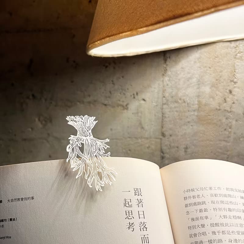 蕨類標本紙雕3.0-爪哇鹿角蕨|裝飾 書籤 禮物 母親節 鹿角蕨 植物