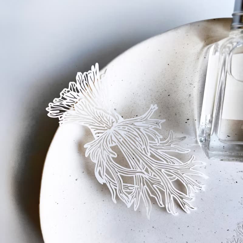 蕨類標本紙雕3.0-爪哇鹿角蕨|裝飾 書籤 禮物 母親節 鹿角蕨 植物