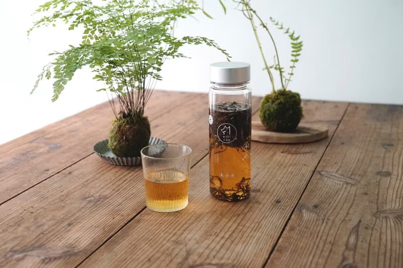 【琅茶】沁涼盆栽・冷泡茶水壺 / 完美輕盈沁甜 / 交換禮物