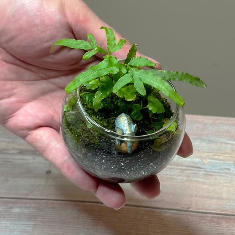 大象馬戲團 / 超迷你掌上型手工微景觀生態盆