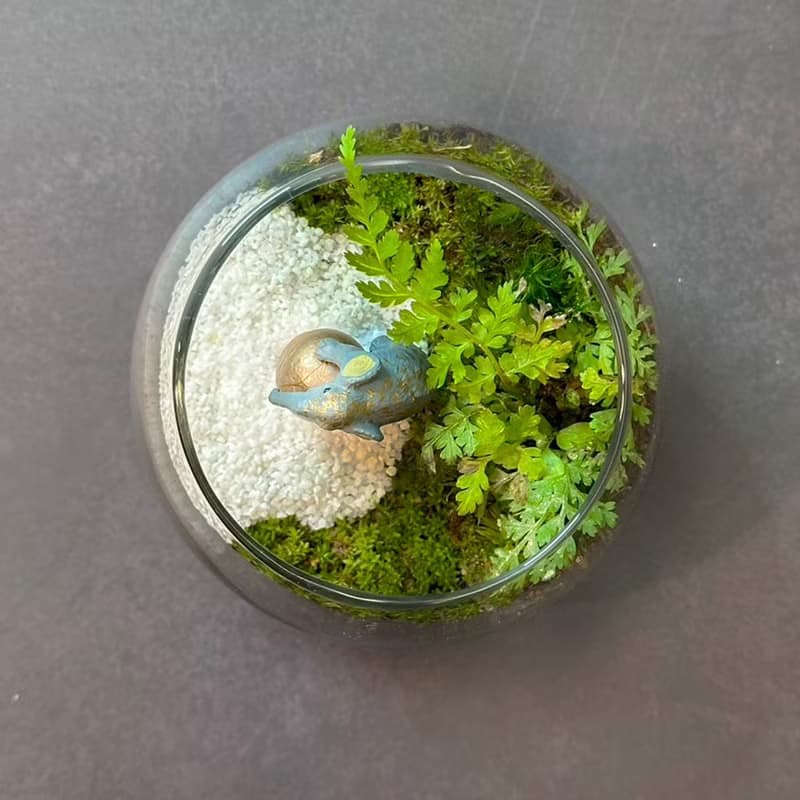 大象馬戲團 / 超迷你掌上型手工微景觀生態盆