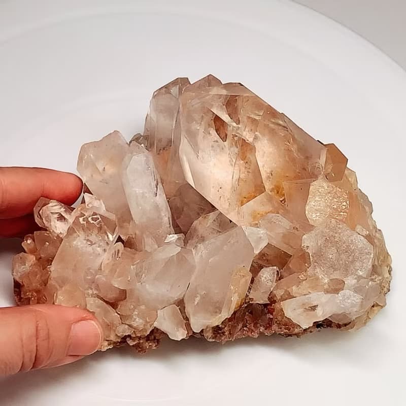 Crystal Corner 隅石丨紅膠花白水晶簇195丨淨化丨療癒水晶法寶