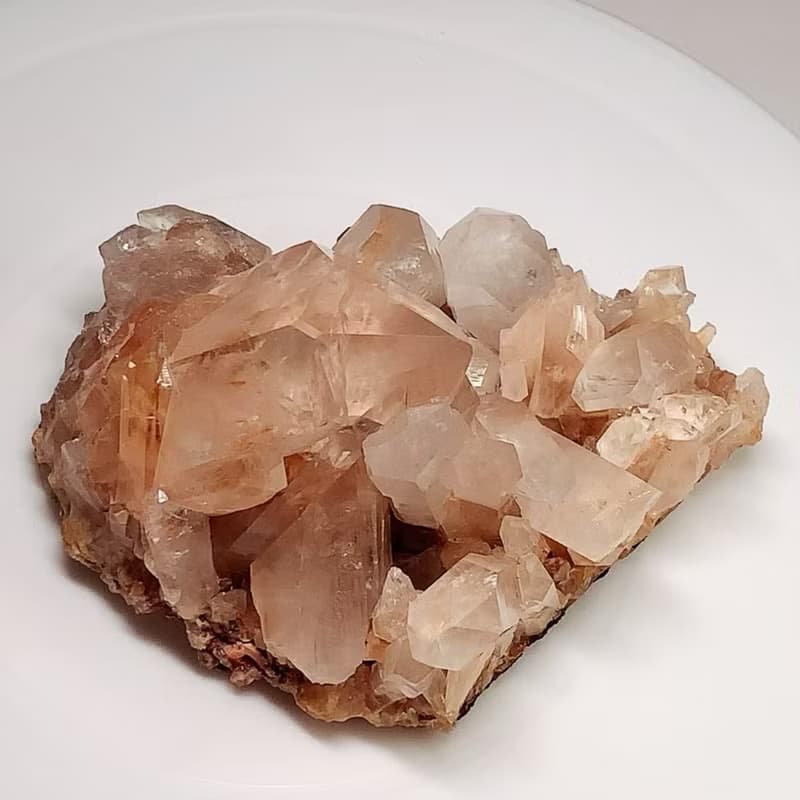 Crystal Corner 隅石丨紅膠花白水晶簇195丨淨化丨療癒水晶法寶