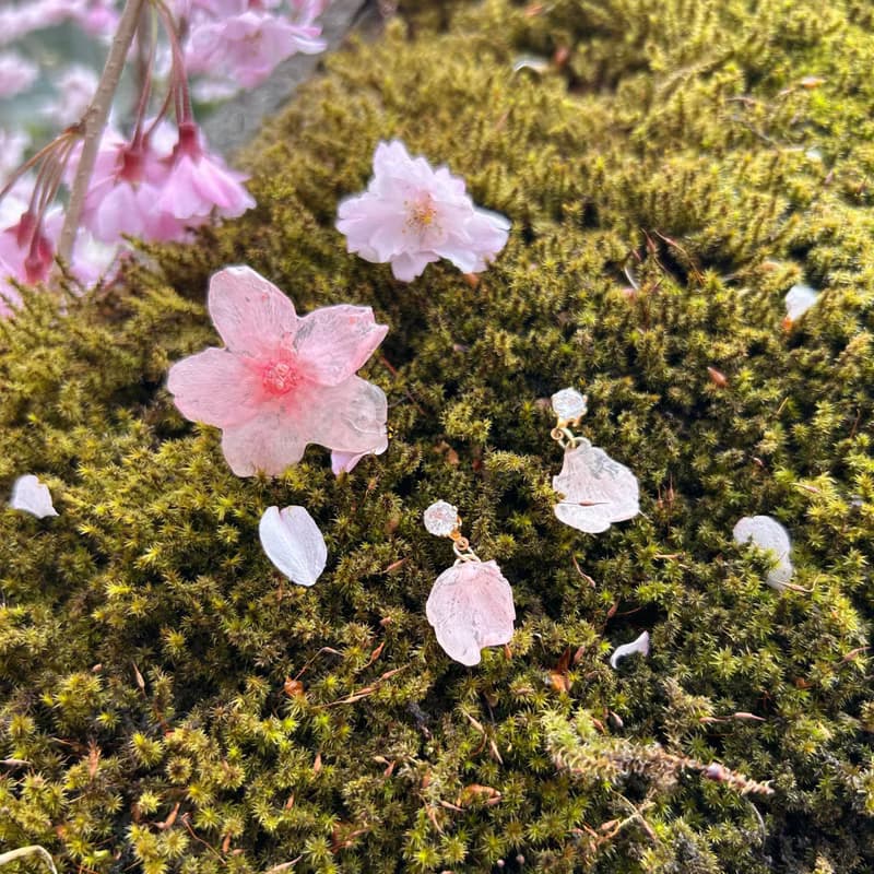永生花耳環 /櫻花 ‧ 語系列 /免費改夾 /兩款可選