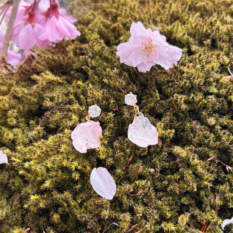 永生花耳環 /櫻花 ‧ 語系列 /免費改夾 /兩款可選