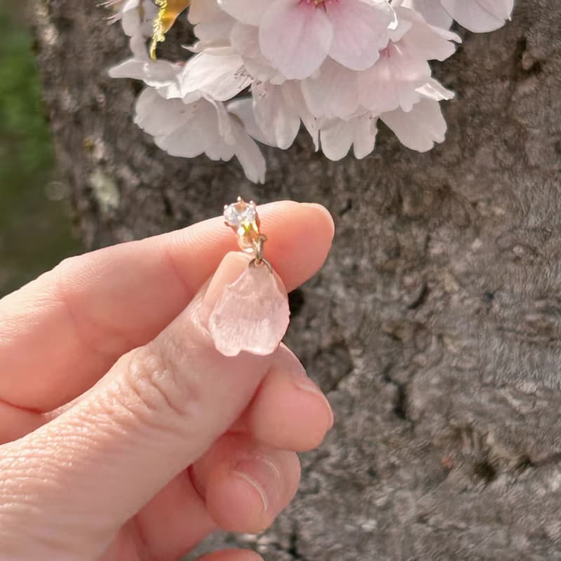 永生花耳環 /櫻花 ‧ 語系列 /免費改夾 /兩款可選