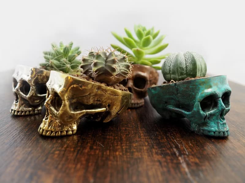 Skull pots cactus small potted plants in brass gold color  Handcrafted from