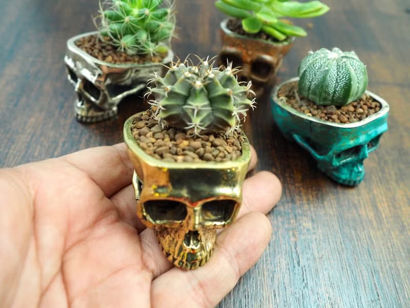 Skull pots cactus small potted plants in brass gold color  Handcrafted from
