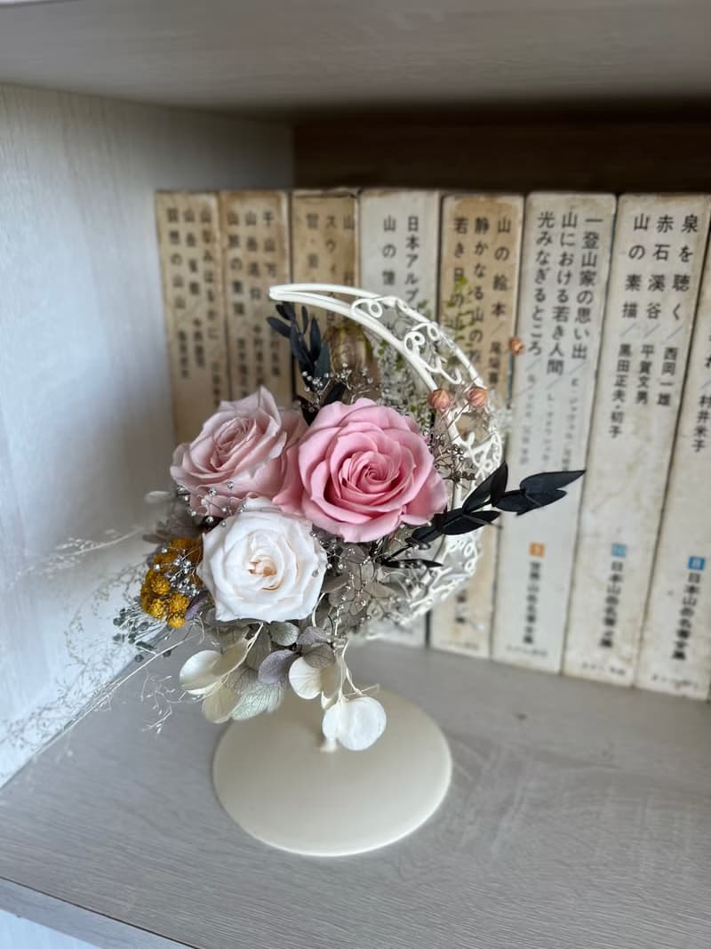 永生盆花－月亮花禮粉色系  限定雙北宅配