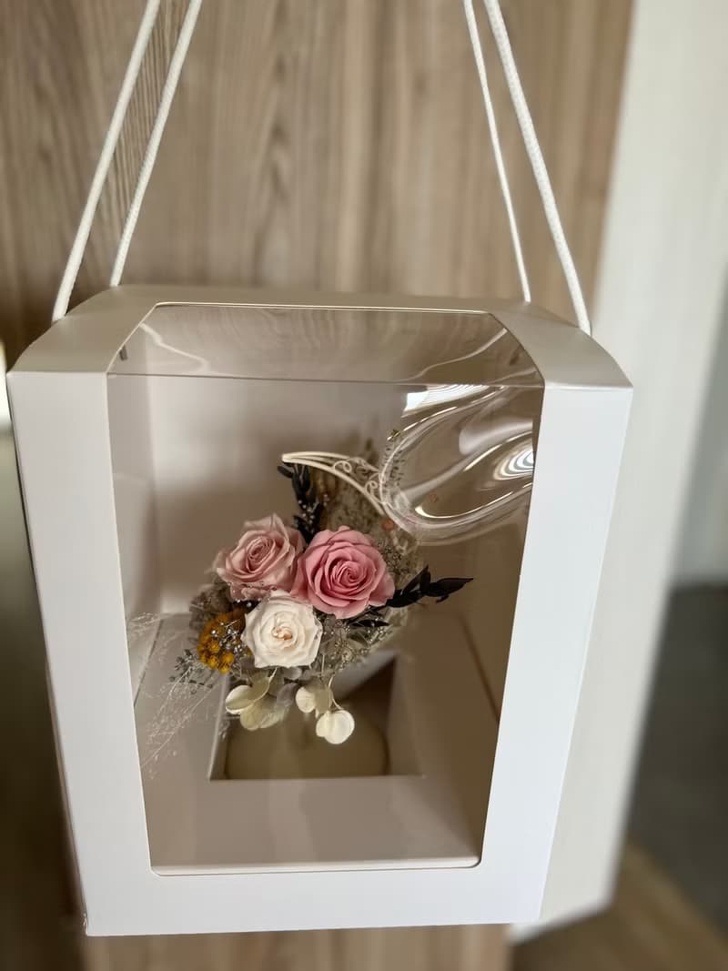 永生盆花－月亮花禮粉色系  限定雙北宅配