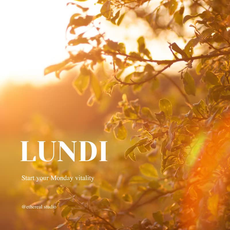 LUNDI - Reed Diffuser 120ml
