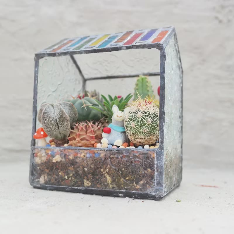 【荳荳多肉】【(訂做)鑲嵌玻璃小屋】喬遷│送禮│升遷│多肉植物