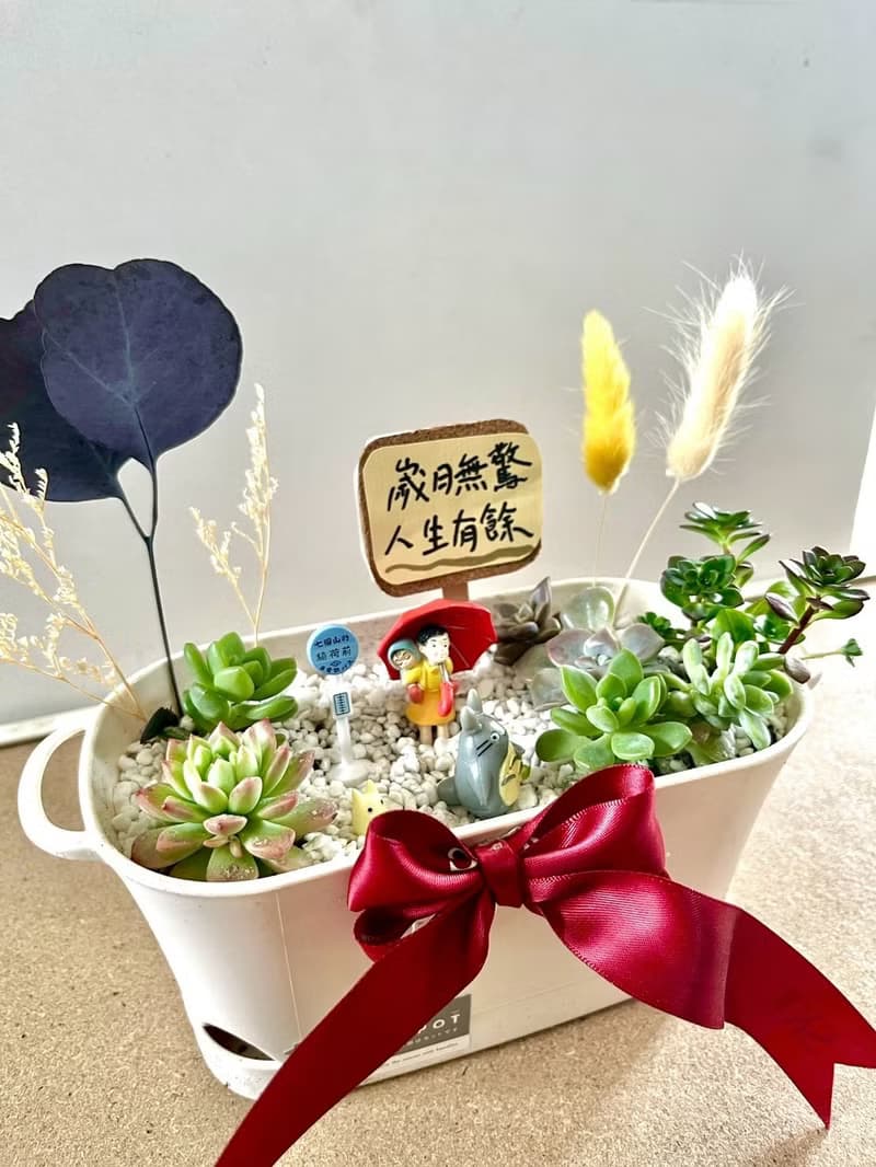 多肉組盆 多肉植物 日式枯山水 龍貓 小梅 公車亭 吉卜力植物盆栽