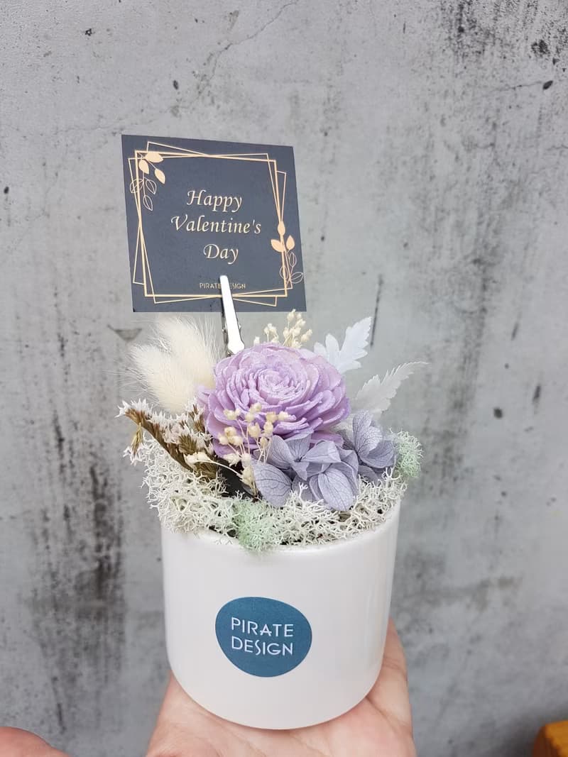 海藏設計│浪漫果漾。香芬乾燥花小品盆栽。個性藍/浪漫紫