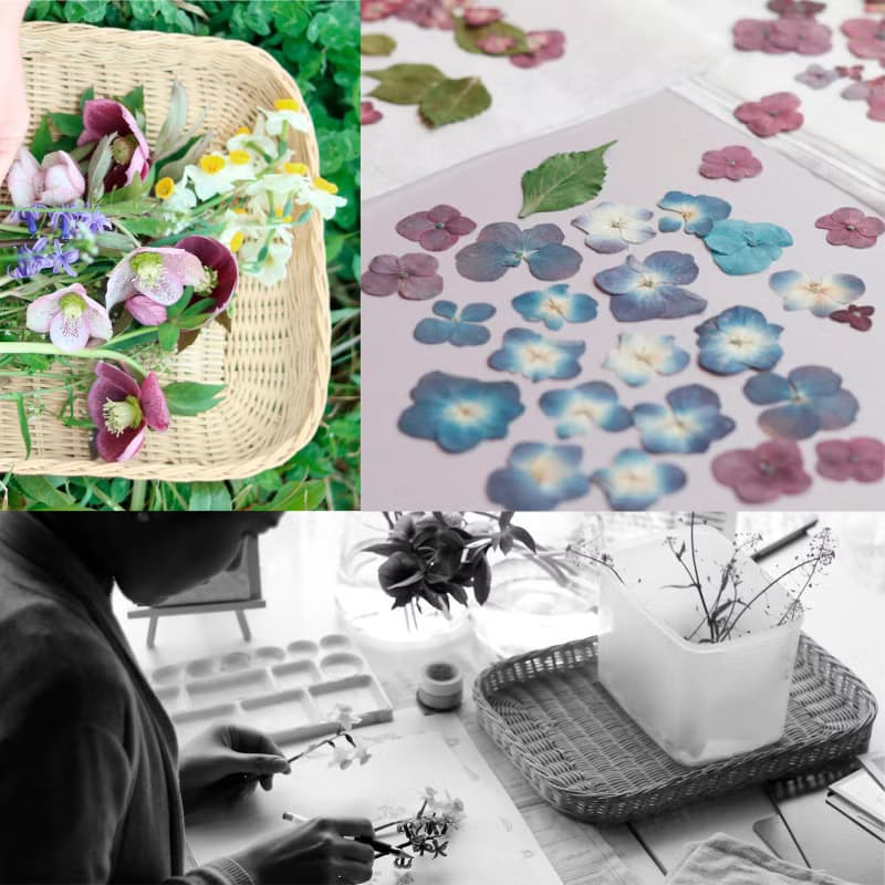 【まんまる手鏡】クリスマスローズの花束