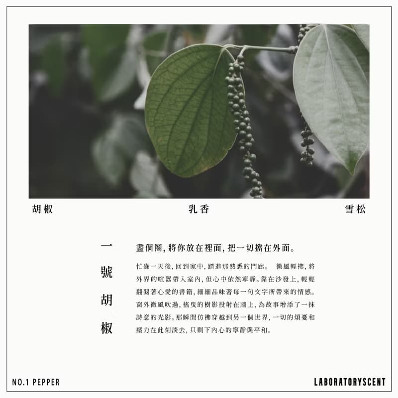Laboratoryscent實驗系列擴香-一號胡椒