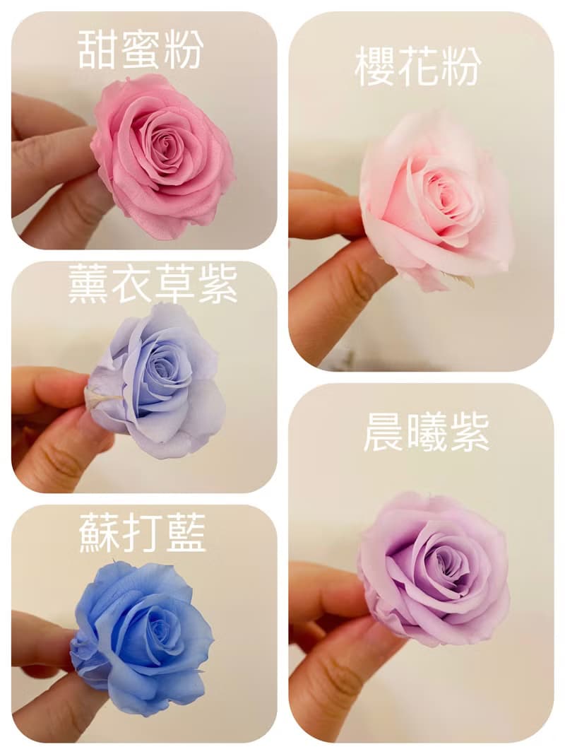 單隻熊熊永生花盅-我罩你