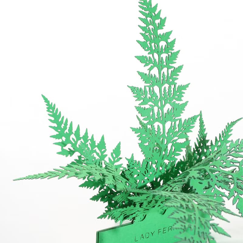 【立體植物貼紙】 蹄蓋蕨 (605004) FingerART紙雕紙藝術