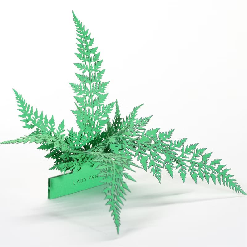 【立體植物貼紙】 蹄蓋蕨 (605004) FingerART紙雕紙藝術