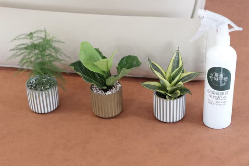植栽 盆栽 l 葵無露  全天然配方 無毒防治病蟲害 矽藻土加強配方