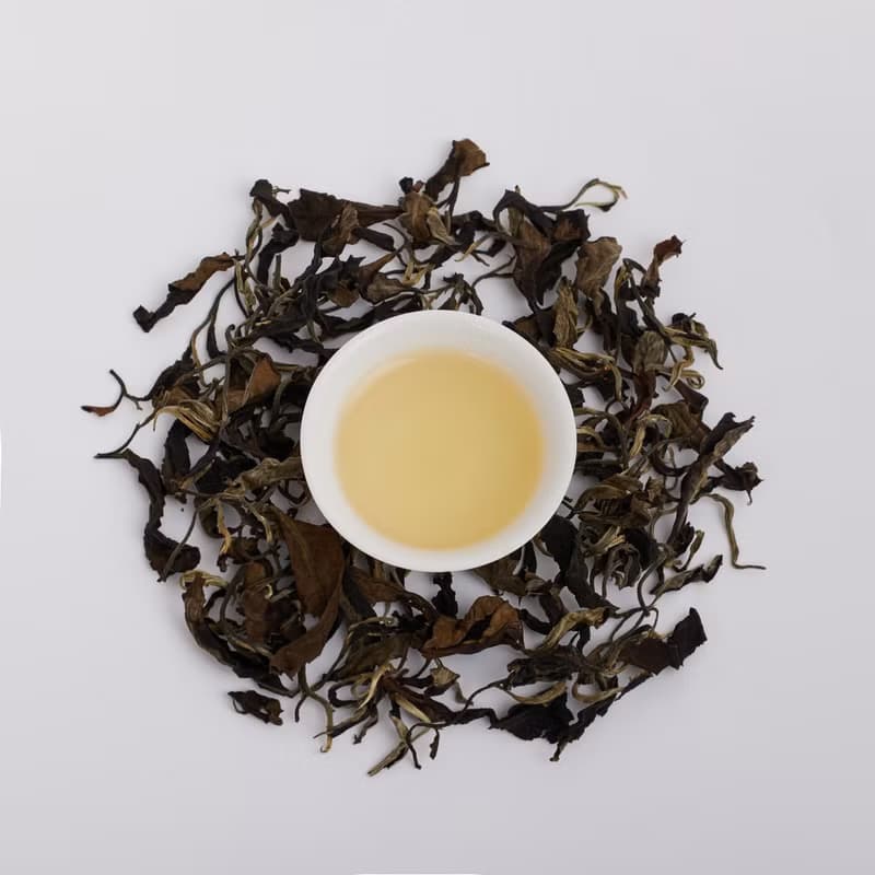 【古樹白茶】古樹金湯 古樹茶 茶葉禮盒 伴手禮 送禮 天然無農藥