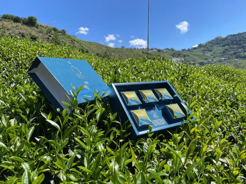【和平庄園】梨山茶 手採烏龍茶 高山茶 300g禮盒
