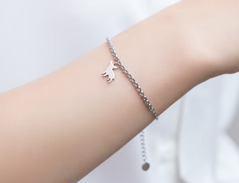 吉娃娃手鍊-狗狗背影系列-抗敏醫療鋼