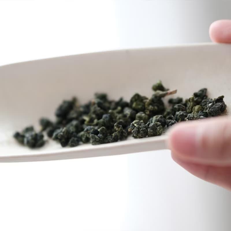 【天下第一好茶】福壽山義莊茶 - 淡雅花香 / 蜜綠茶湯