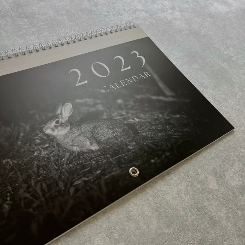 台灣野兔 攝影藝術 2023 掛曆 / 月曆