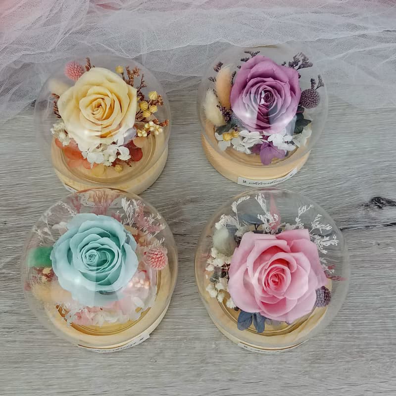 永生花玻璃罩 閨密禮物  永生玫瑰 情人節禮物 生日禮 PF-021C