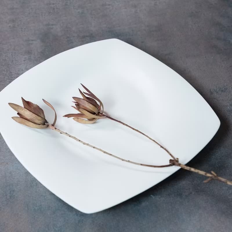 【3,co】海洋四方盤(大) - 白