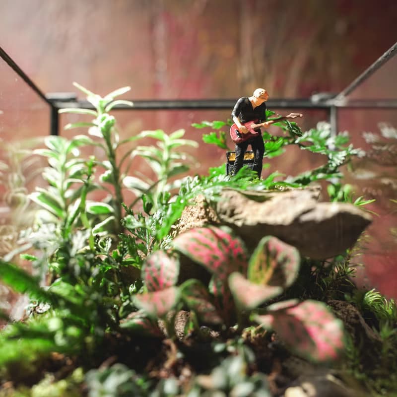【生態缸－搖滾雨林】微景觀 室內植栽 禮物 辦公室擺設
