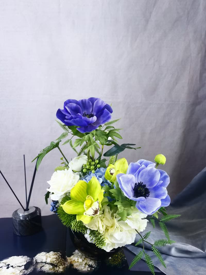 白頭翁東亞蘭香氛花禮/入厝禮/開幕/喬遷/送禮/植栽