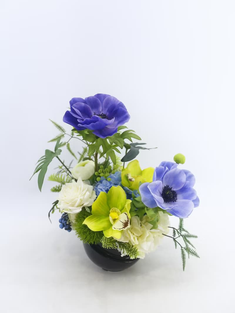 白頭翁東亞蘭香氛花禮/入厝禮/開幕/喬遷/送禮/植栽