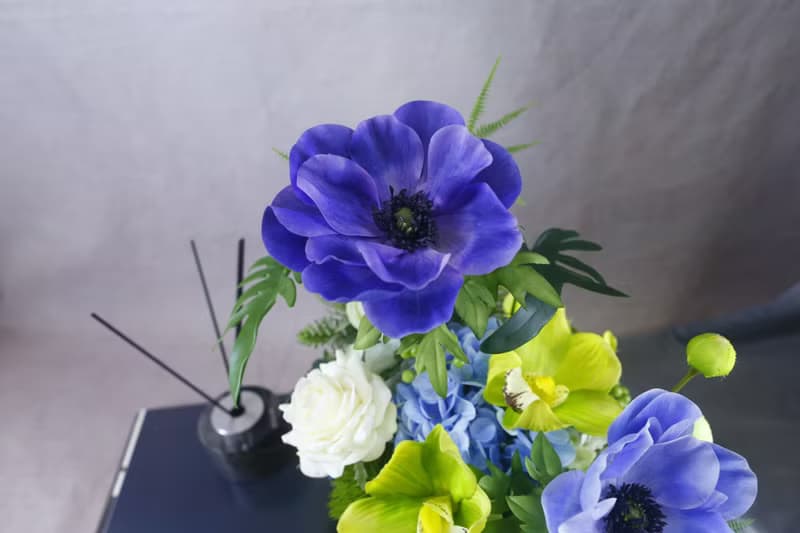 白頭翁東亞蘭香氛花禮/入厝禮/開幕/喬遷/送禮/植栽