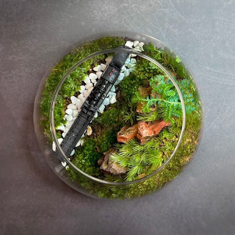 越嶺者 / 手工微景觀生態盆