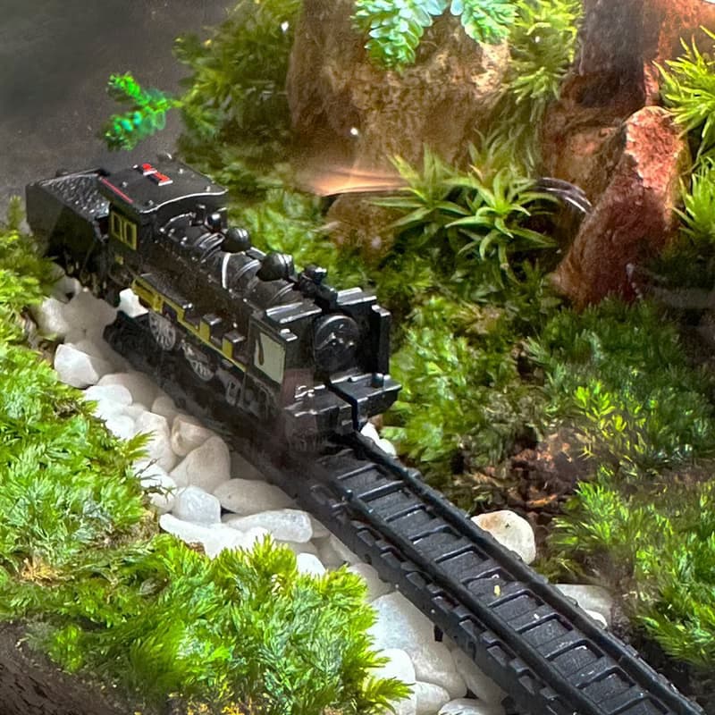 越嶺者 / 手工微景觀生態盆