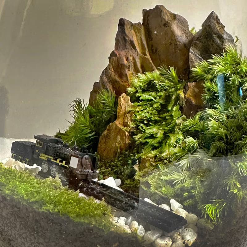 越嶺者 / 手工微景觀生態盆