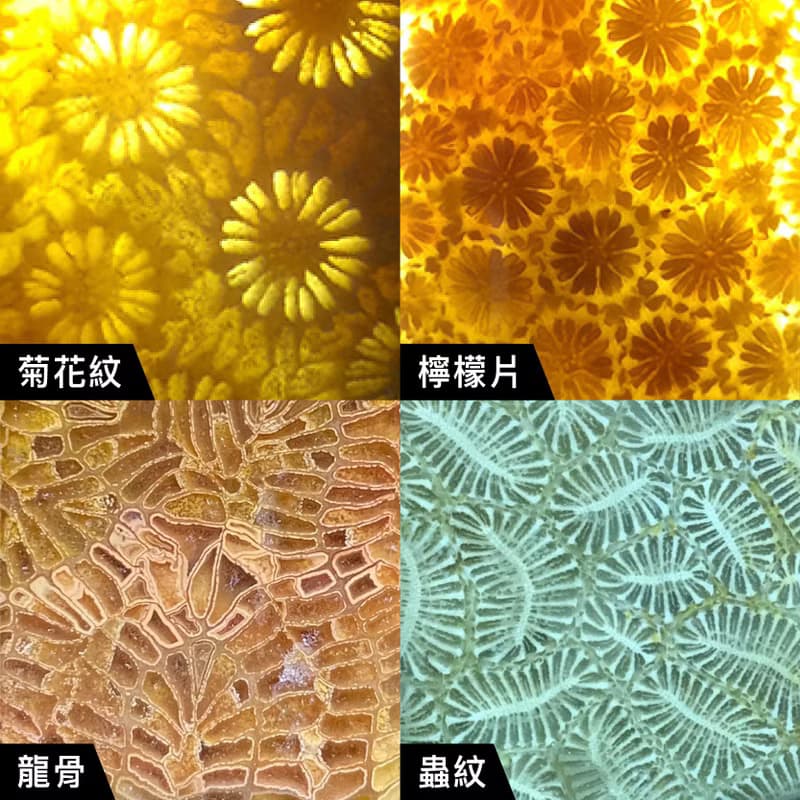 印尼珊瑚玉耳環 (唯一有生命の礦石)