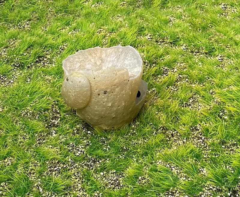 能量原礦晶洞-天然瑪瑙白晶洞療癒精靈 能量擺件 消磁淨化 財運