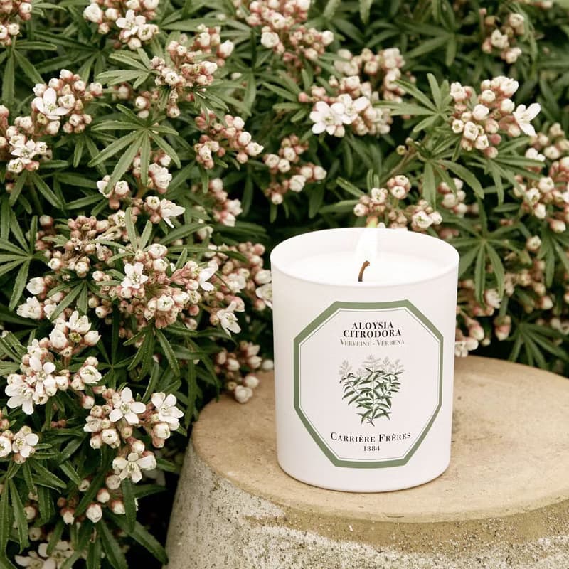 Carrière Frères 馬鞭草香氛蠟燭