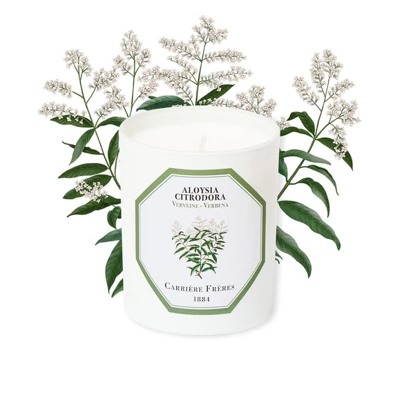 Carrière Frères 馬鞭草香氛蠟燭