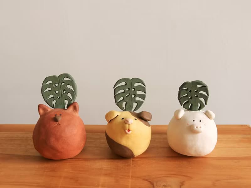 限量陶偶 / 龜背芋保衛隊