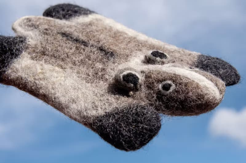 聖誕交換禮物 情人節禮物 森林系羊毛氈動物杯墊-白鼻心 果子狸