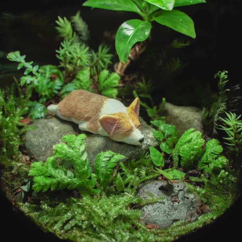 【生態缸－咖啡樹下的甜甜夢】微景觀 室內植栽 禮物 辦公室擺設