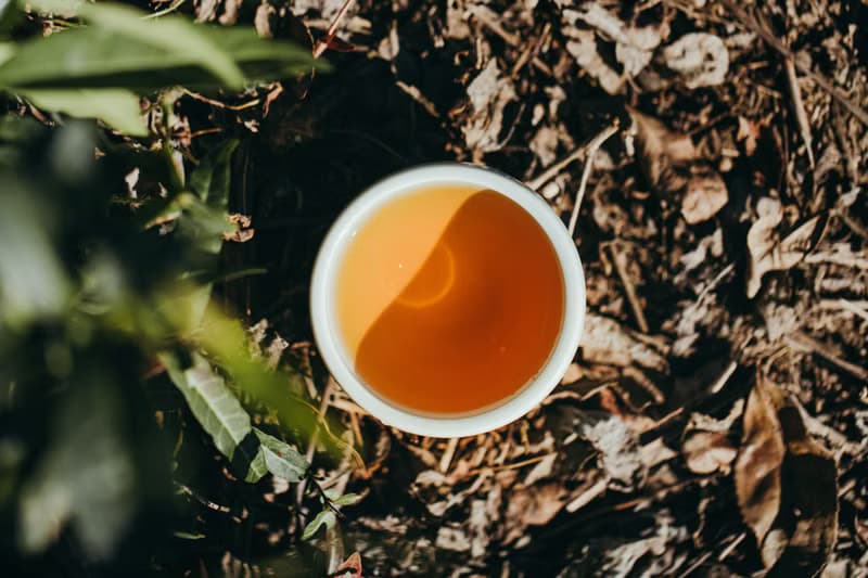 【自然農法茶葉】晨暮紅茶 天然焦糖 蜜香果香 手採無農藥無化肥