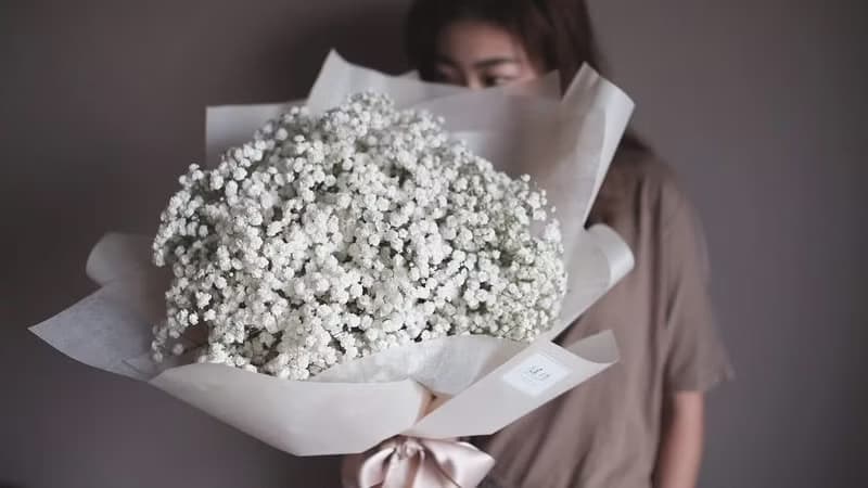 【滿天星花束】 求婚 大型花束 鮮花捧花 情人節 聖誕禮物