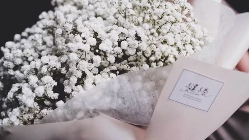 【滿天星花束】 求婚 大型花束 鮮花捧花 情人節 聖誕禮物