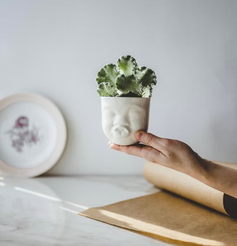 Kissing planter 可愛表情陶瓷器皿